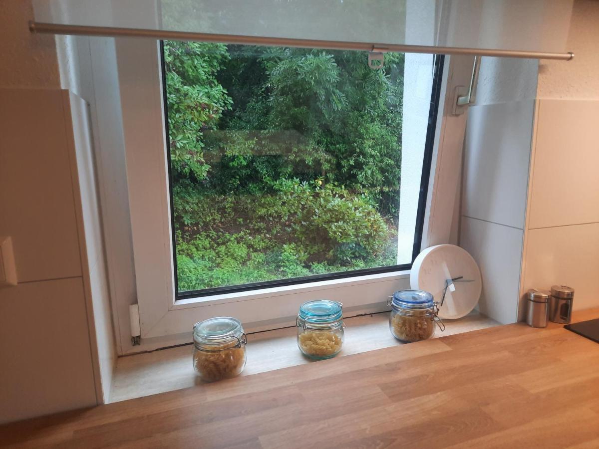 Precioso Apartamento, Aparcamiento Gratis Augustusburg Kültér fotó
